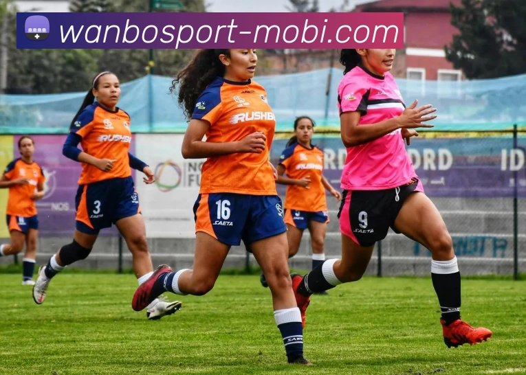 万博体育发展历程